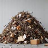 yard with debris ready for hauling