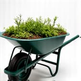 Junk removed from a Marana property