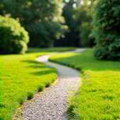green yard with pathway