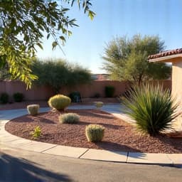 Residential property in Oro Valley before brush clearing service, showing dense, overgrown Sonoran Desert vegetation. This image captures the initial state of a yard requiring significant brush clearing and cleanup to comply with Pima County native plant ordinances and enhance defensible space.