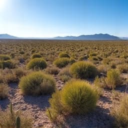 Large acreage lot near Tucson Mountain Park area before extensive land clearing, featuring dense dry brush and desert flora. This photo illustrates a property requiring significant brush control and fire prevention measures to create defensible space.