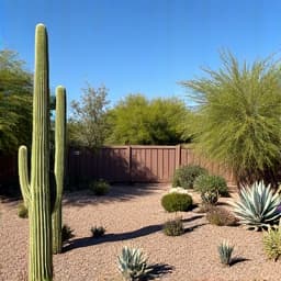Beautifully finished desert landscape with native plants and low-maintenance features after transformation in Casas Adobes.
