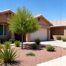 Neatly restored yard after professional cleanup in Casas Adobes, showcasing a clear, tidy landscape with manicured edges and healthy plants, enhancing curb appeal.