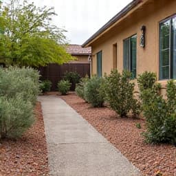 Revitalized garden with vibrant, healthy plants, pathways cleared, and a fresh aesthetic after professional cleanup services in Green Valley, AZ.