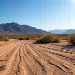 Marana lot with fire hazard mitigated after thorough brush clearing. This image shows a Marana undeveloped lot completely cleared of dense brush and weeds, demonstrating successful fire hazard mitigation and readiness for future development or enjoyment near Tangerine Road. 