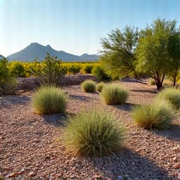 Marana home with neglected landscaping before revitalization. This detailed shot of a Marana property highlights unruly bushes, dead plants, and general disarray in the landscaping, demonstrating the need for comprehensive yard cleanup and revitalization. 