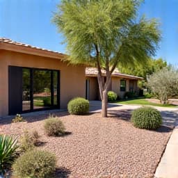 Revitalized landscaping at a Marana home after a complete project. This photo captures a gorgeously revitalized landscape at a Marana property, showcasing newly arranged plants, fresh gravel, and a well-maintained appearance that significantly boosts curb appeal. 