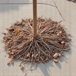 Monsoon storm debris on Marana driveway before yard cleanup. This image shows a Marana driveway covered in fallen branches, leaves, and other debris following a monsoon storm, highlighting the immediate need for professional yard cleanup services. 