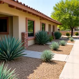Oro Valley desert landscaping makeover, showcasing a transformation from sparse to vibrant. Features new drought-tolerant plants and a cohesive design.