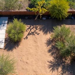 Before gravel installation, a dated yard recharge needed in an Oro Valley home showing overgrown weeds and uneven ground