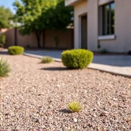 Newly renovated yard in Oro Valley after a comprehensive recharge project, showcasing fresh gravel, new plantings, and enhanced curb appeal.