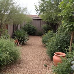 Before image of an overgrown residential yard in Oro Valley with accumulated junk and vegetation, showing the need for comprehensive yard cleanup.