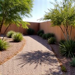 Manicured yard after cleanup service in Oro Valley. This image presents a pristine backyard, free of debris, showcasing the transformative results of professional yard waste removal.