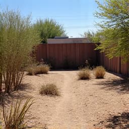Patchy grass lawn before desert conversion in Green Valley.