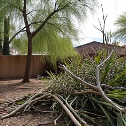 Tucson Yard with Monsoon Debris. A residential yard littered with fallen branches, leaves, and general debris after a monsoon storm, depicting a typical scene requiring professional cleanup in Tucson.