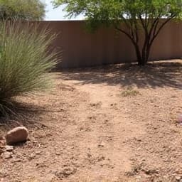 Quail Creek backyard gravel installation before by JB Landscaping. A patchy, uneven dirt area currently lacking proper landscaping and drainage, waiting for a durable gravel surface to be installed.