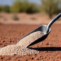 Quail Creek backyard gravel installation spreading gravel by JB Landscaping. Crew members are spreading and leveling the gravel base for a new, low-maintenance outdoor area, showing the construction phase.