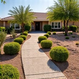 Rancho Sahuarita property after monsoon cleanup with pristine yard