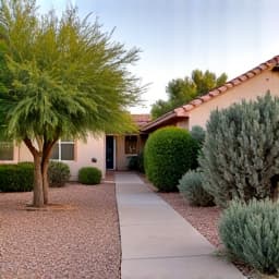 Sahuarita HOA compliant front yard design before overgrown by JB Landscaping. A messy and non-compliant front yard with untamed bushes and an outdated design, requiring a significant overhaul to meet HOA standards in Rancho Sahuarita.