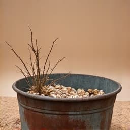 Sahuarita yard cleanup and debris removal before monsoon by JB Landscaping. The yard is visibly cluttered with fallen branches, leaves, and various debris, making it an eyesore and potential hazard.