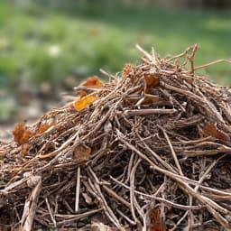 Before image of a residential yard in Vail, Arizona, cluttered with leaves, branches, and general yard waste, before a professional cleanup.