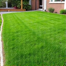 Yard immaculately cleared of all weeds and prepared for new landscaping, showcasing effective weed abatement services in Casas Adobes.