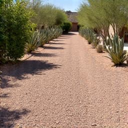 Before and after tumbleweed removal showing cleared desert landscape