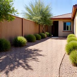 Sahuarita backyard landscaping project after completion with new gravel and pathways