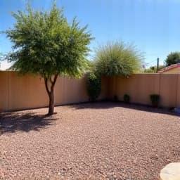 Before: Large pile of yard waste and debris in a Tucson backyard
