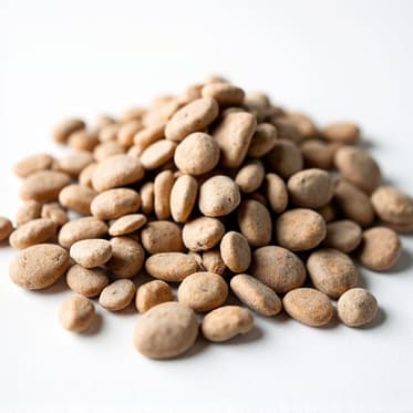 Gravel installation expert discussing design with homeowner