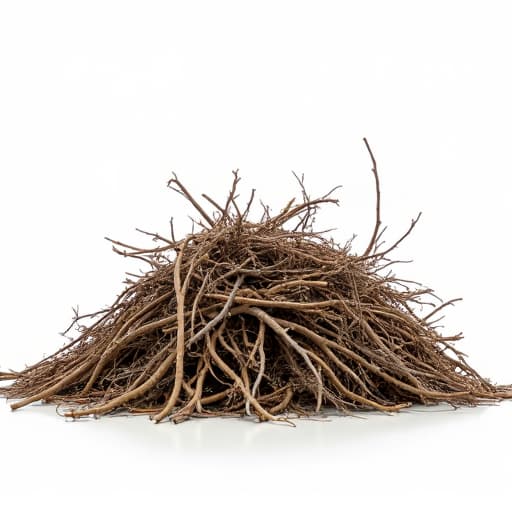 Oro Valley yard cleanup professional debris removal