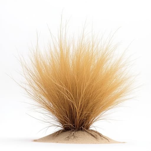 Overgrown desert yard in Tucson posing a fire hazard