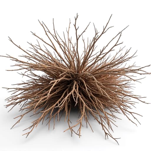 Arid landscape with cleared brush creating a defensible space around a home in Saddle Brook.