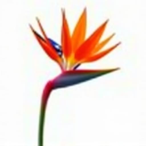 Tucson Desert Landscaping with Vibrant Red Bird of Paradise and Lantana Flowers
