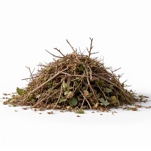 Landscaping team performing brush clearing and debris removal in Tucson