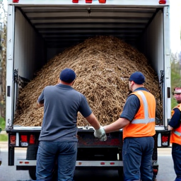 Debris loading team in Green Valley for efficient junk removal