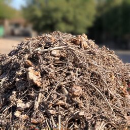 Desert yard with dead plants, branches, and rock debris before cleanup in Oro Valley. This image shows a typical Tucson desert landscape needing cleanup of natural yard waste.